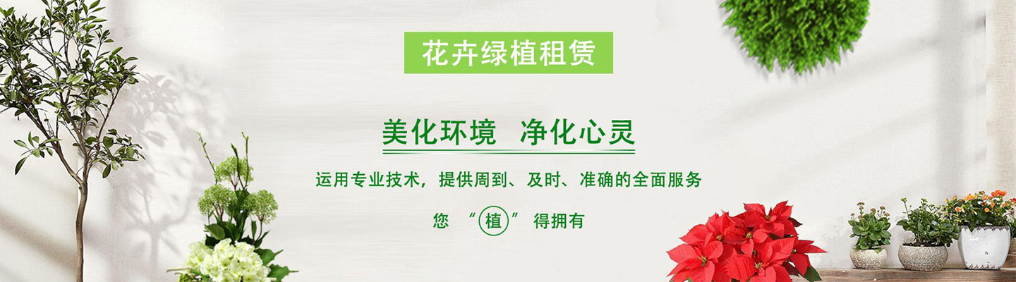 其他页banner