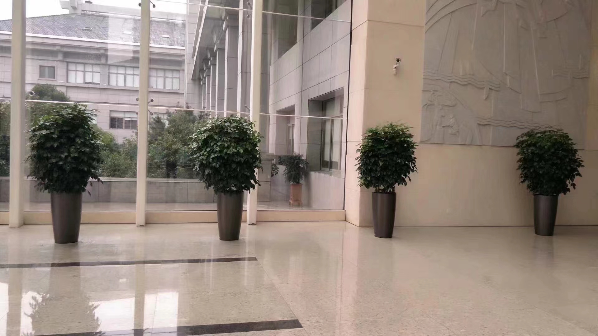 绿植出租展示