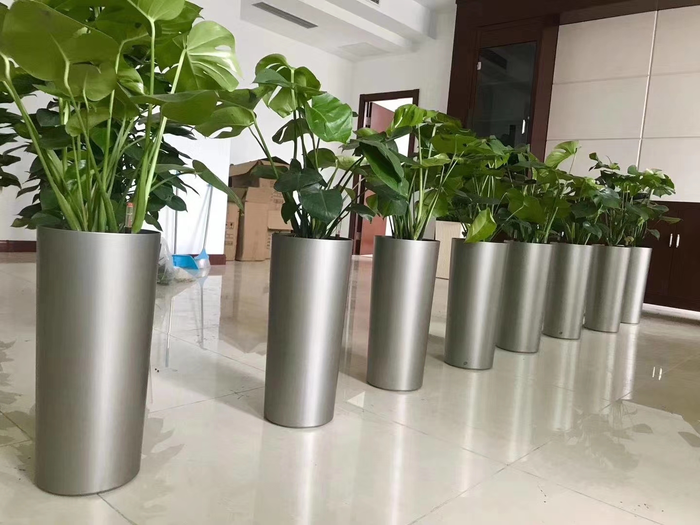 绿植租赁