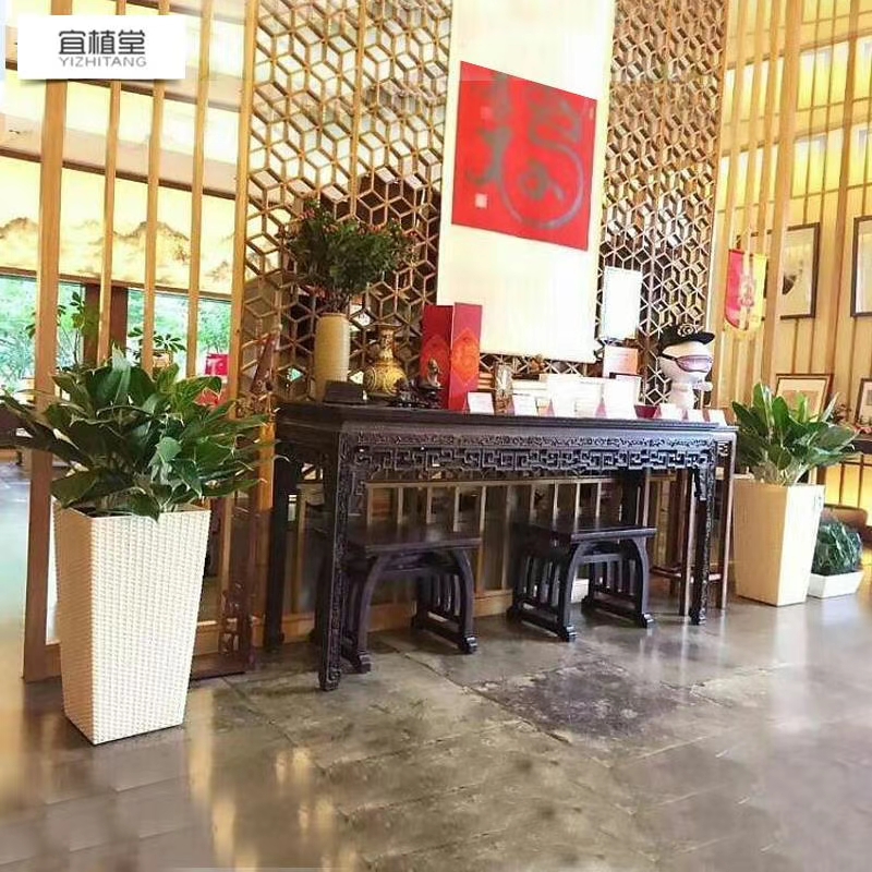 绿植出租展示