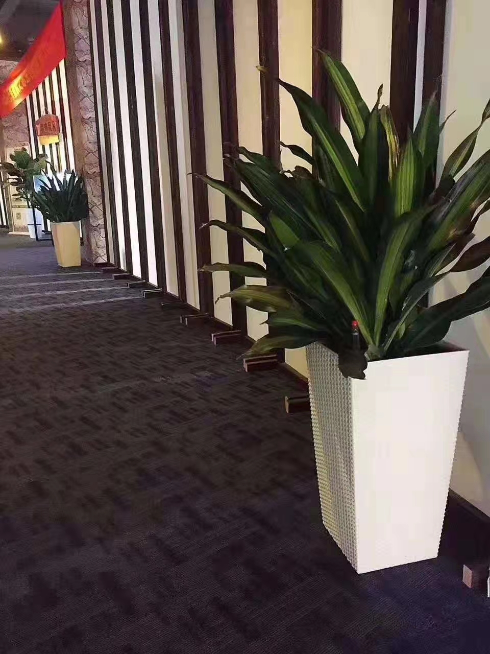 绿植租赁